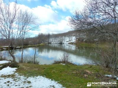 Hayedo Montejo; Reserva Biosfera Sierra Rincón; fin de semana senderismo; viajes senderismo